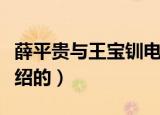 薛平贵与王宝钏电视剧大结局（剧情是怎么介绍的）