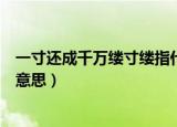 一寸还成千万缕寸缕指什么意思（一寸还成千万缕寸缕是啥意思）
