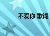 不爱你 歌词（愿意不爱你歌词）