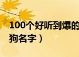 100个好听到爆的狗狗名字（100个可爱的狗狗名字）