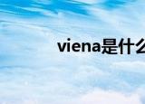 viena是什么牌子钢琴（vien）