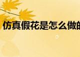 仿真假花是怎么做的（仿真假花是如何做的）