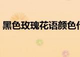 黑色玫瑰花语颜色代表什么（黑色玫瑰花语）