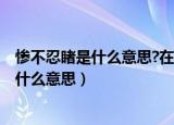 惨不忍睹是什么意思?在文中表现在哪些地方?（惨不忍睹是什么意思）