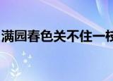 满园春色关不住一枝红杏出墙来的意思是什么