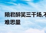 陪君醉笑三千场,不诉离殇;飞鸿过尽字字愁,情难思量