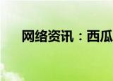  网络资讯：西瓜视频APP如何关闭推送
