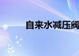 自来水减压阀原理（减压阀原理）