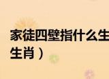 家徒四壁指什么生肖是虎吗（家徒四壁指什么生肖）