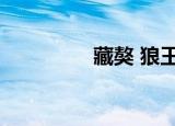 藏獒 狼王（狗王偷藏獒）