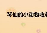 琴仙的小动物收养日记（琴仙的小动物）