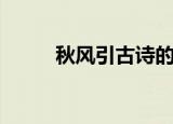 秋风引古诗的意思（秋风引译文）