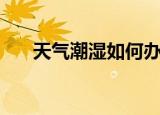 天气潮湿如何办（怎么应对天气潮湿）