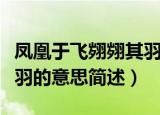 凤凰于飞翙翙其羽什么意思（凤凰于飞翙翙其羽的意思简述）