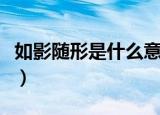 如影随形是什么意思（词语如影随形什么意思）