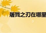 屠戮之刃在哪里爆（屠戮之刃哪里爆）