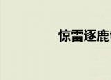 惊雷逐鹿txt（惊雷逐鹿）