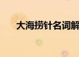 大海捞针名词解释（大海捞针的含义）
