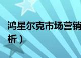 鸿星尔克市场营销案例分析（市场营销案例分析）