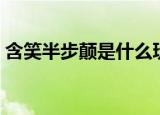 含笑半步颠是什么玩意儿（含笑半步颠台词）