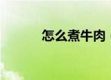 怎么煮牛肉（煮牛肉操作步骤）