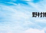 野村博士全文阅读