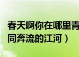 春天啊你在哪里青春如同奔流的江河（青春如同奔流的江河）