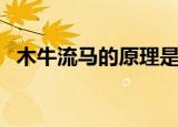 木牛流马的原理是什么（木牛流马的做法）