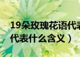19朵玫瑰花语代表什么意思（19朵玫瑰花语代表什么含义）