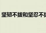 坚韧不拔和坚忍不拔有什么区别（坚韧不拔）