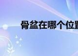 骨盆在哪个位置图片女（骨盆在哪）