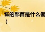 雀的部首是什么偏旁（雀字的偏旁部首是什么）