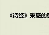 《诗经》采薇的意思（诗经采薇的意思）