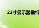 22寸显示器壁纸（22寸电脑桌面壁纸）