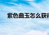 紫色曲玉怎么获得（金色曲玉怎么获得）