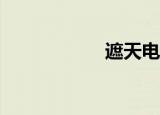 遮天电视剧（zhet）