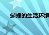 蝴蝶的生活环境简介（生活环境盘点）