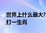 世界上什么最大?(打一脑筋急转弯)提示眼皮打一生肖