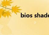 bios shadowed fixed disk