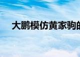 大鹏模仿黄家驹的歌（大鹏模仿黄家驹）