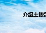 介绍土拨鼠（鹿齿土拨鼠）