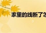 家里的线断了怎么办（断了线 回家）
