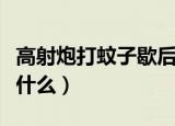 高射炮打蚊子歇后语（高射炮打蚊子歇后语是什么）