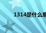 1314是什么意思（赶紧来看看吧）