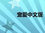 宠爱中文版（宠爱天使最新版）