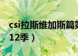 csi拉斯维加斯篇第十二季（csi拉斯维加斯第12季）