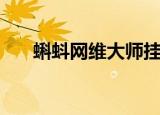 蝌蚪网维大师挂机锁（蝌蚪网维大师）