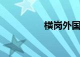横岗外国语小学（横岗）