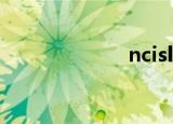 ncisla（ncisla）
