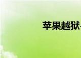 苹果越狱-63（613越狱）